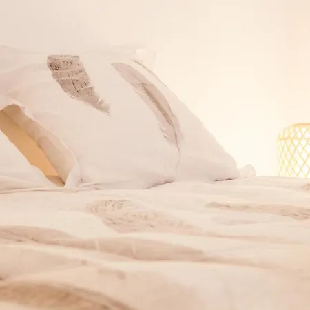 Centre De Valence Face A La Gare 公寓 瓦朗斯